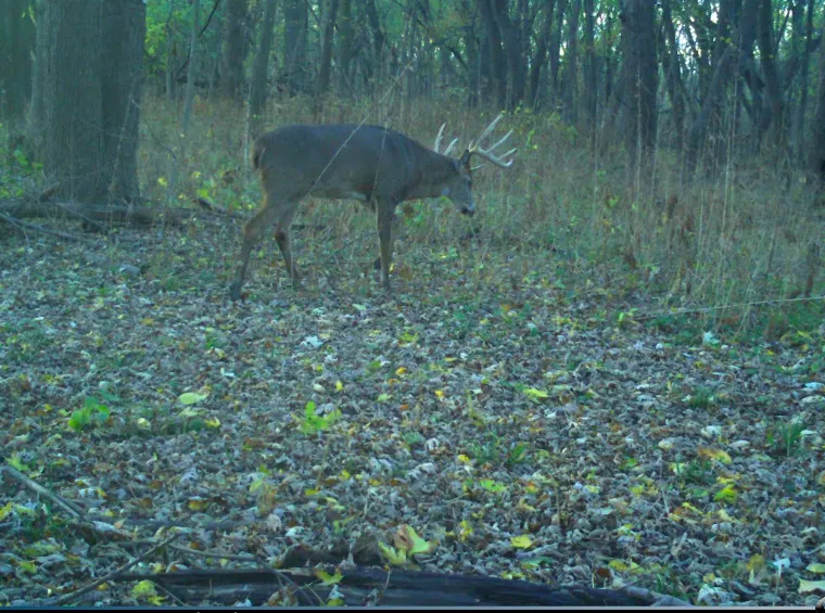 0 Pine Bluff Road IL