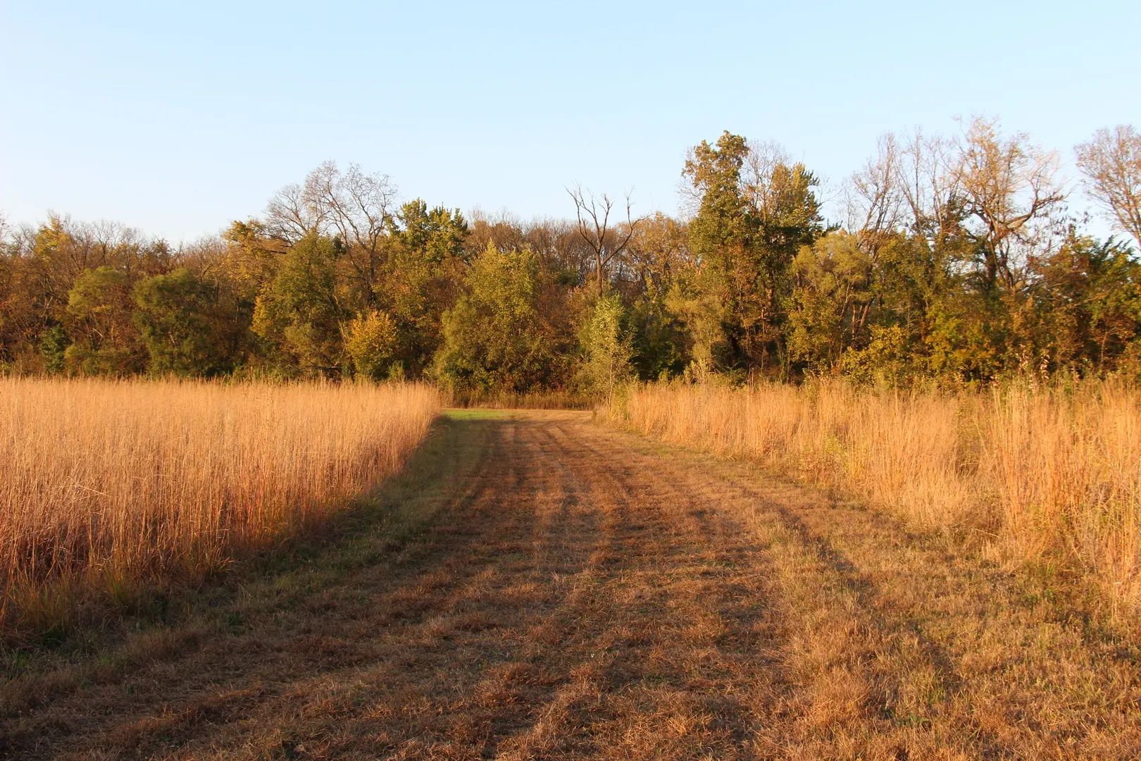 0 Pine Bluff Road IL