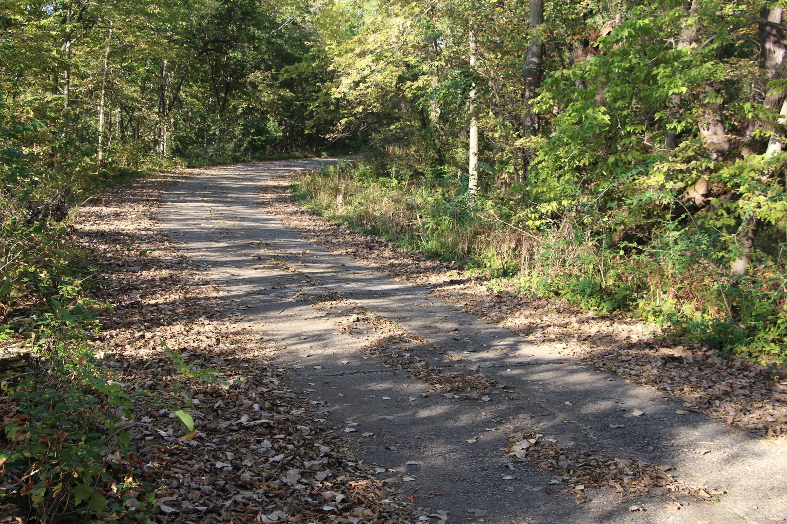 0 Pine Bluff Road IL