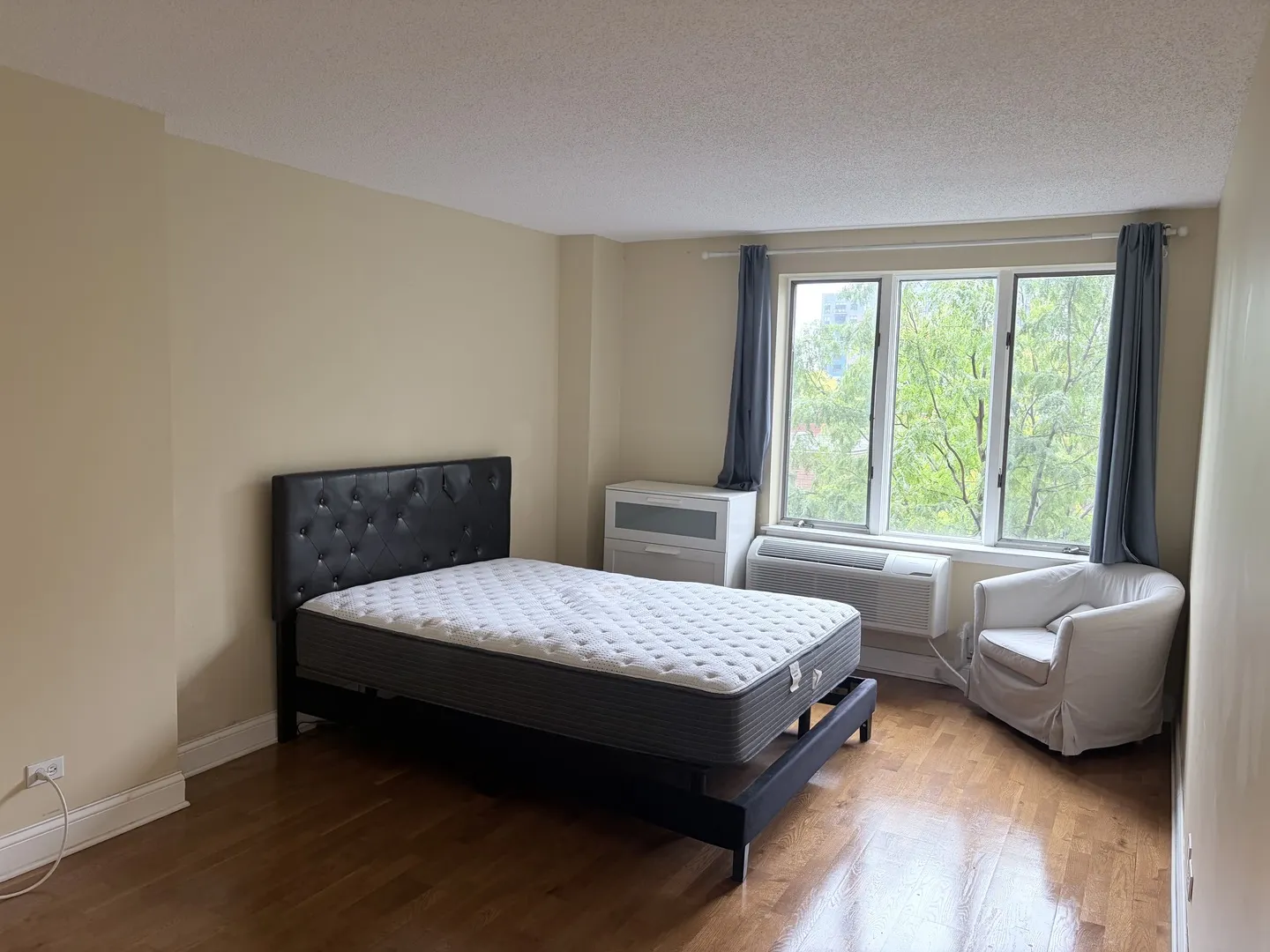 801 S PLYMOUTH Court IL #306