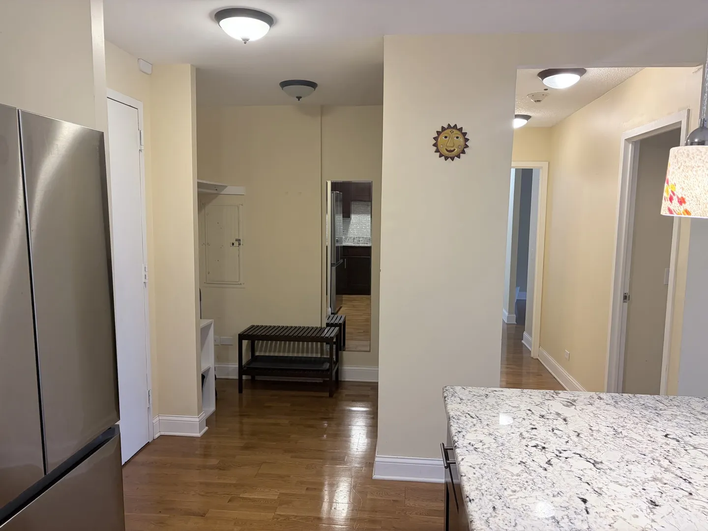 801 S PLYMOUTH Court IL #306