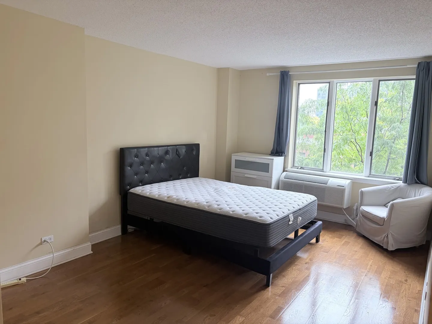 801 S PLYMOUTH Court IL #306