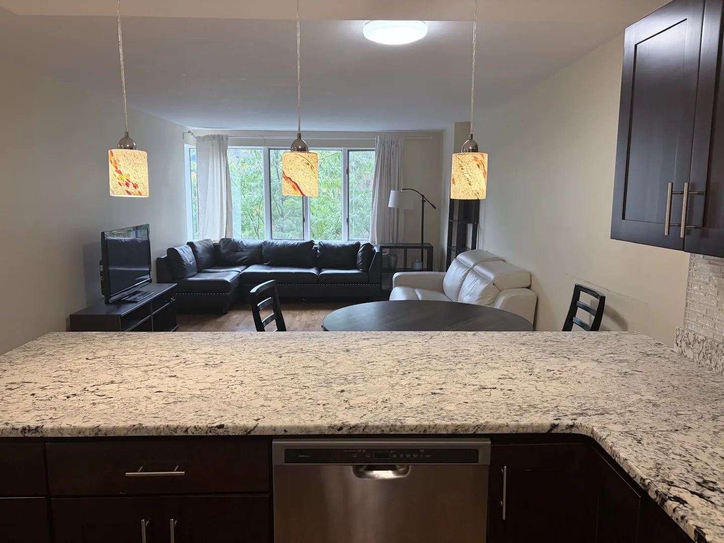 801 S PLYMOUTH Court IL #306