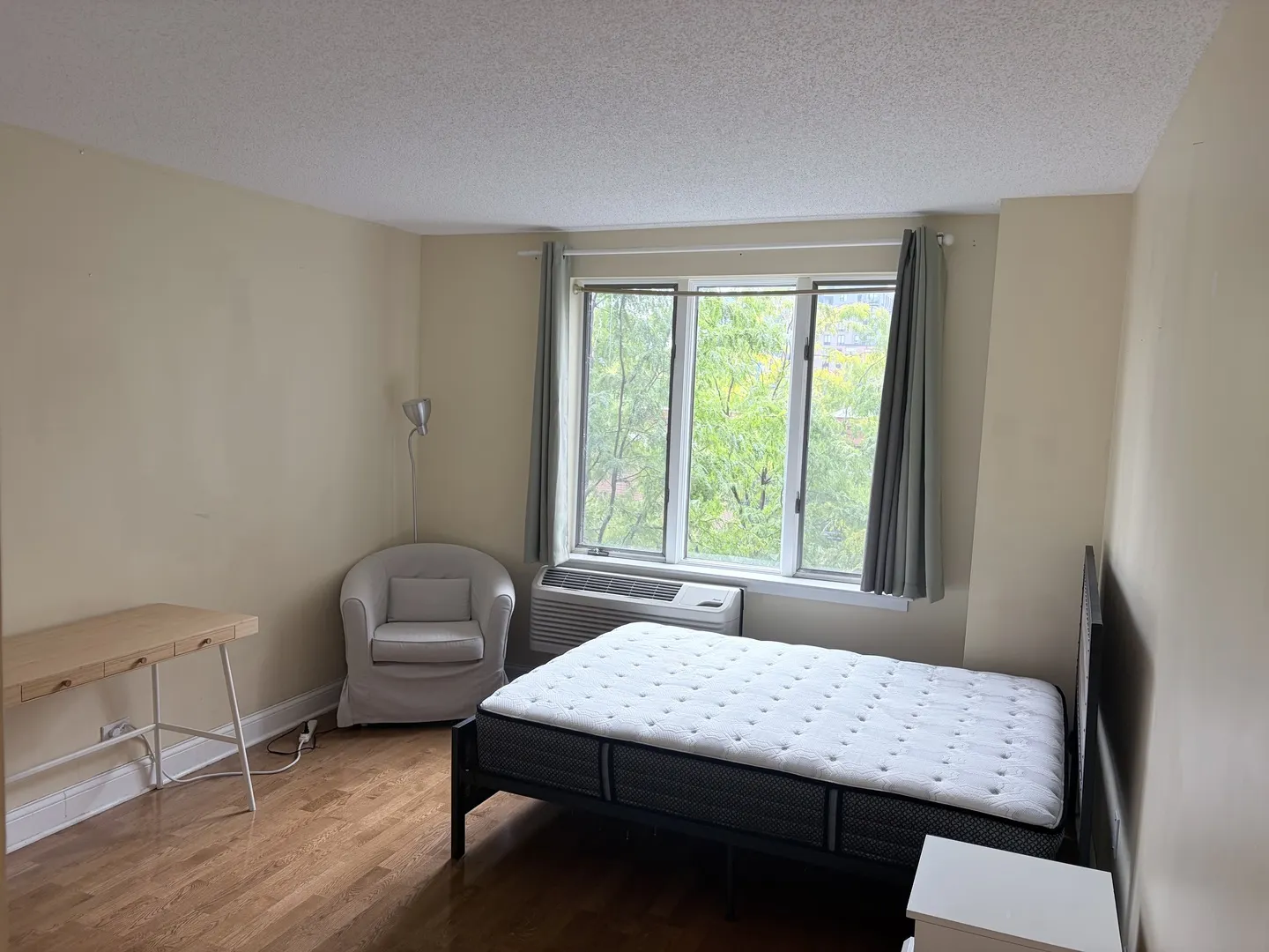 801 S PLYMOUTH Court IL #306