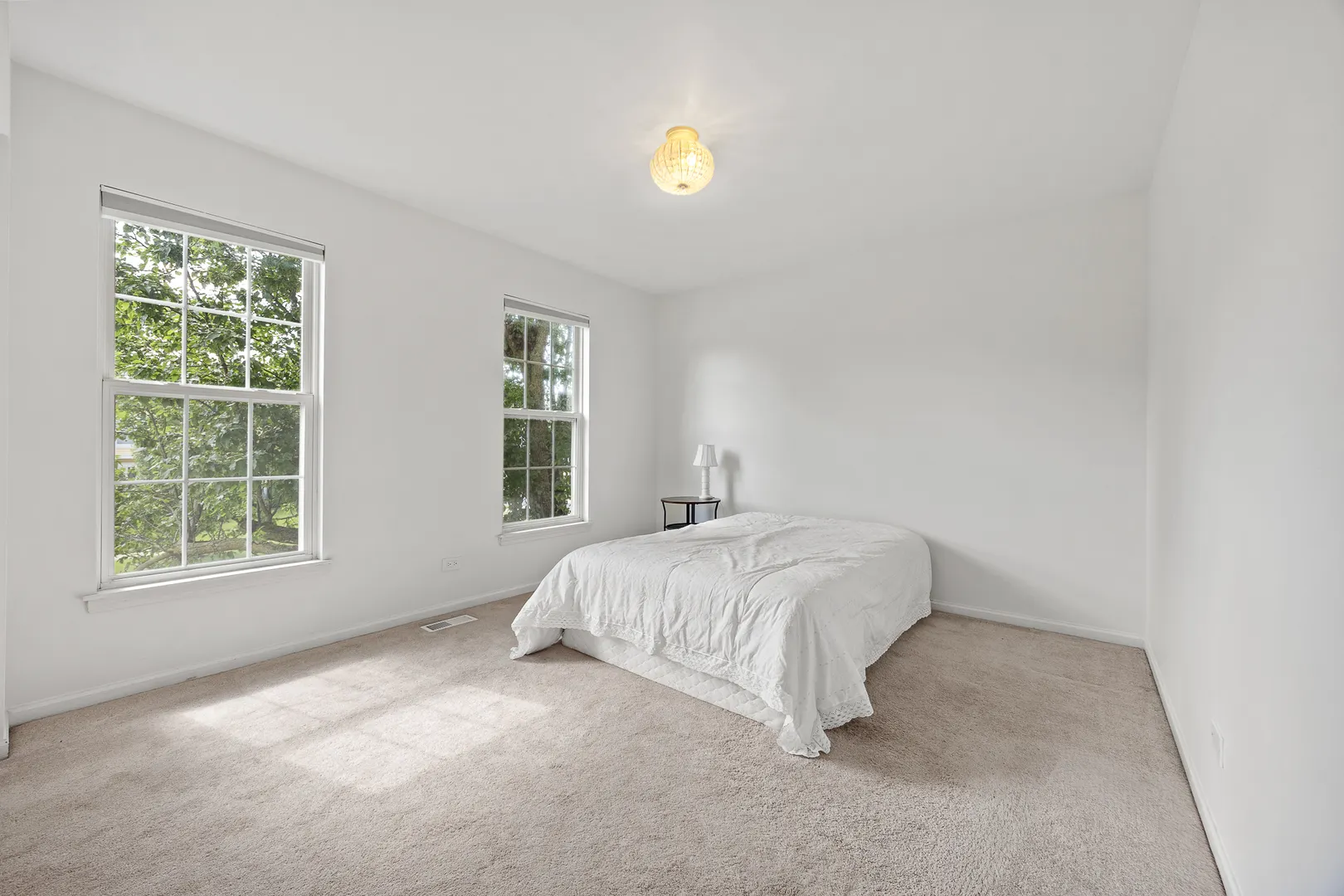 1255 Chicory Lane IL