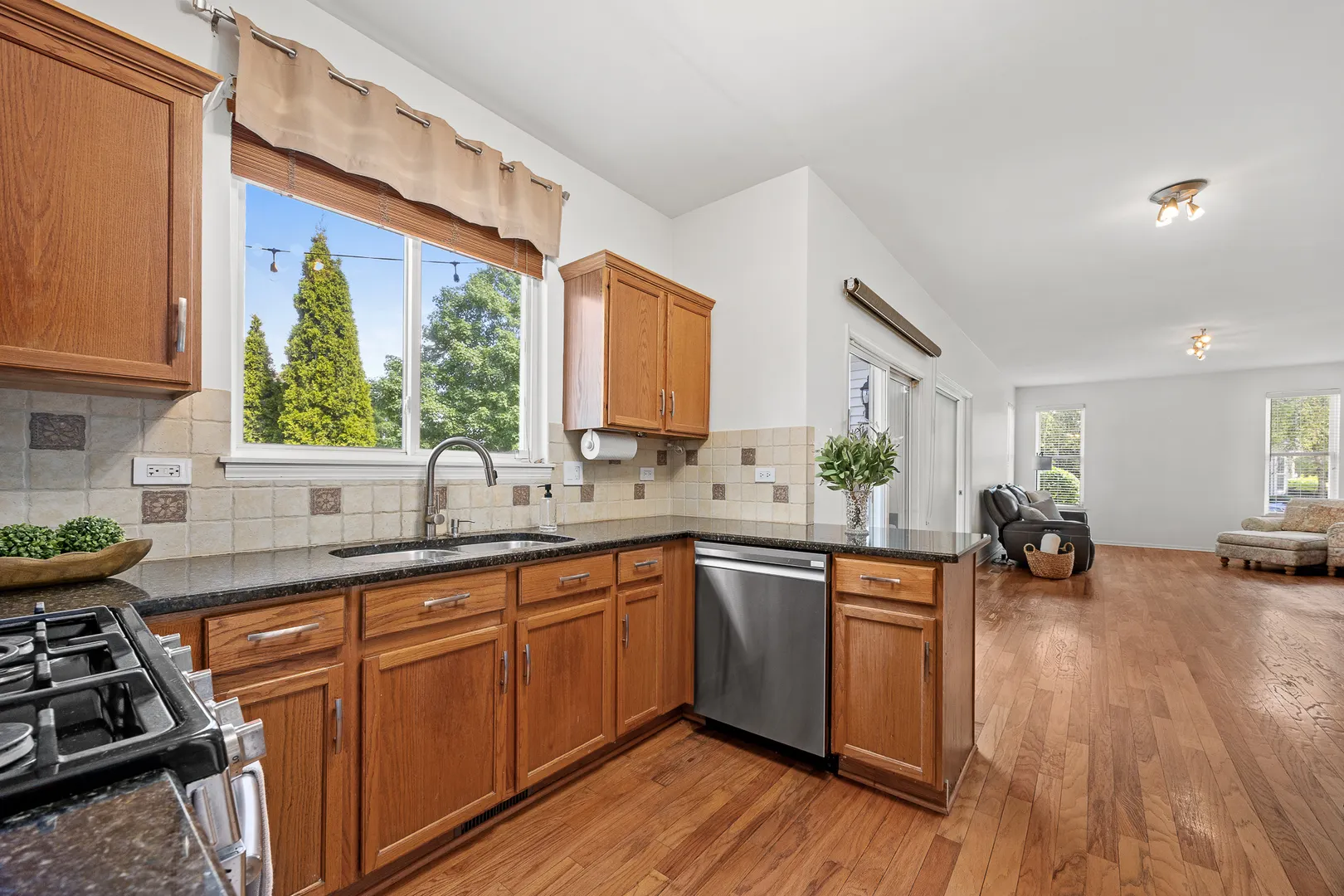 1255 Chicory Lane IL