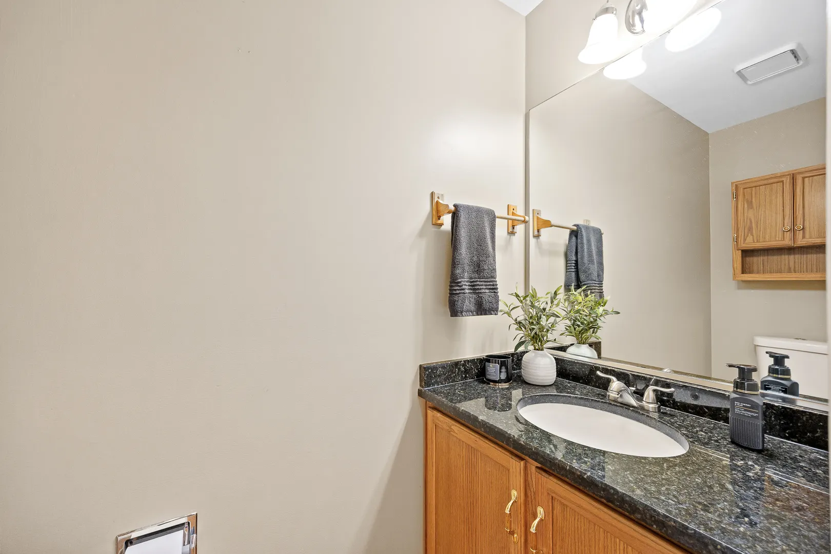 1255 Chicory Lane IL