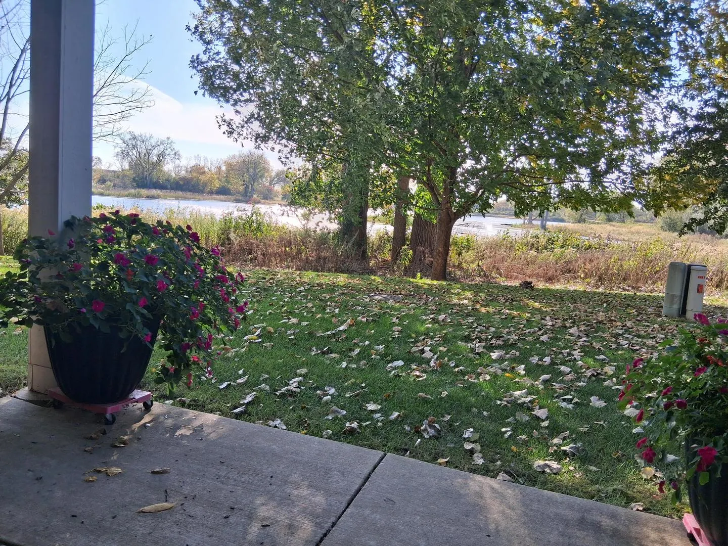 449 Bay Tree Circle IL