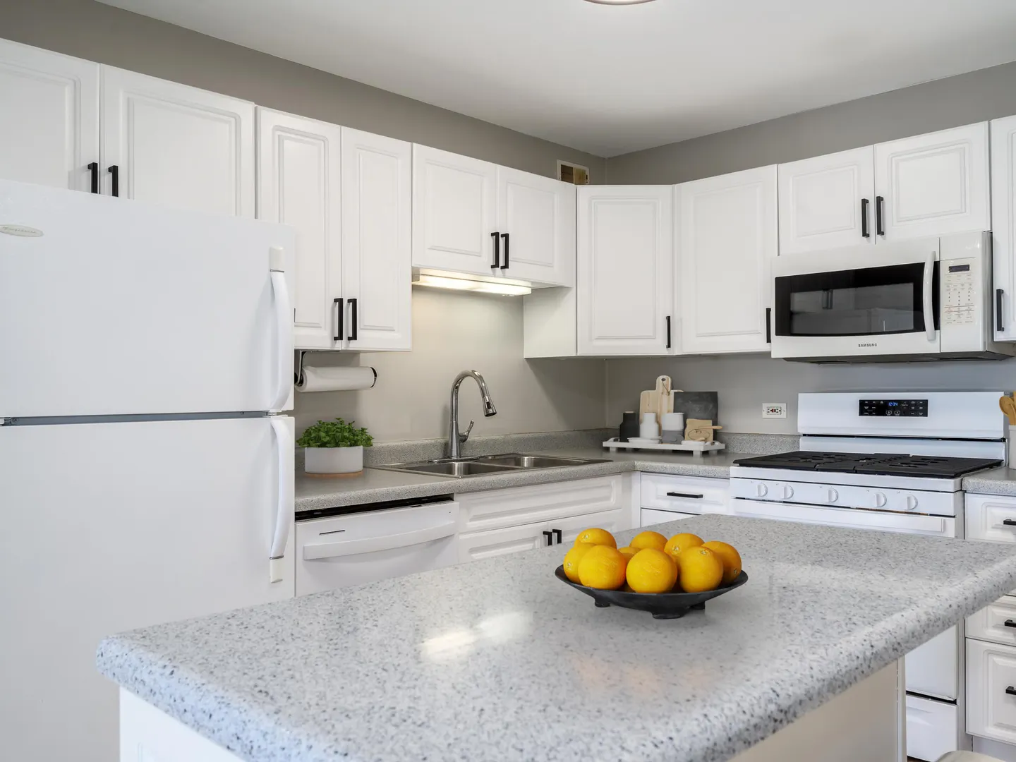 1960 N Lincoln Park West Avenue IL #506