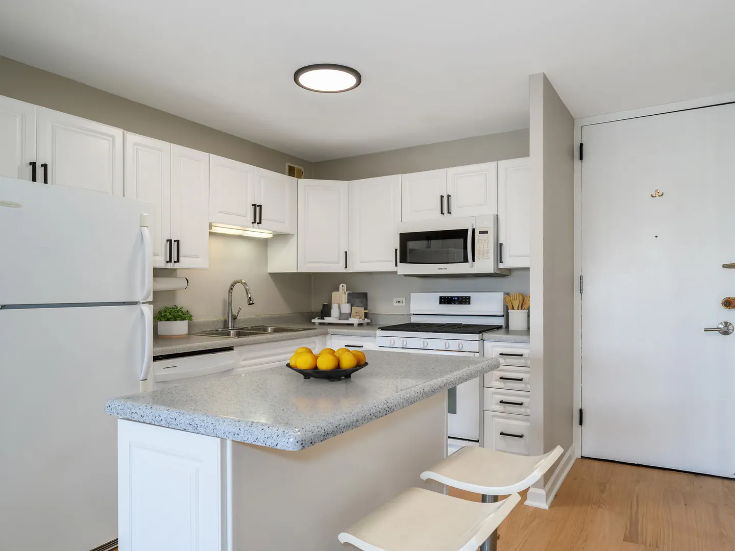 1960 N Lincoln Park West Avenue IL #506