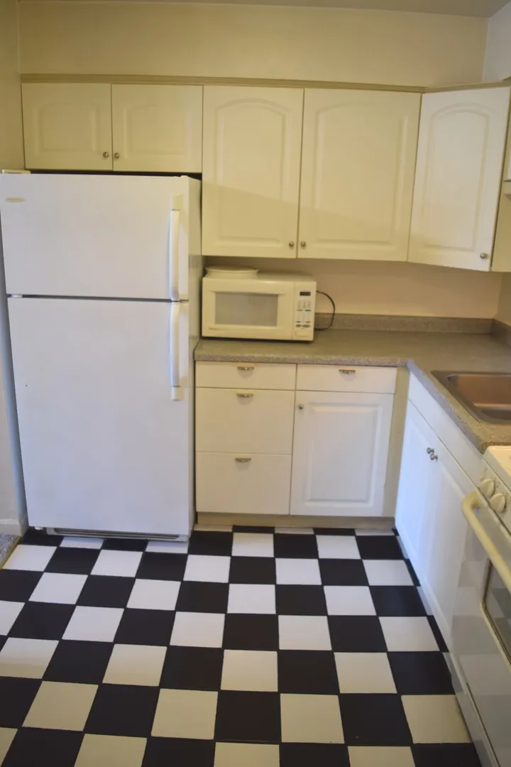 1475 Rebecca Drive IL #210