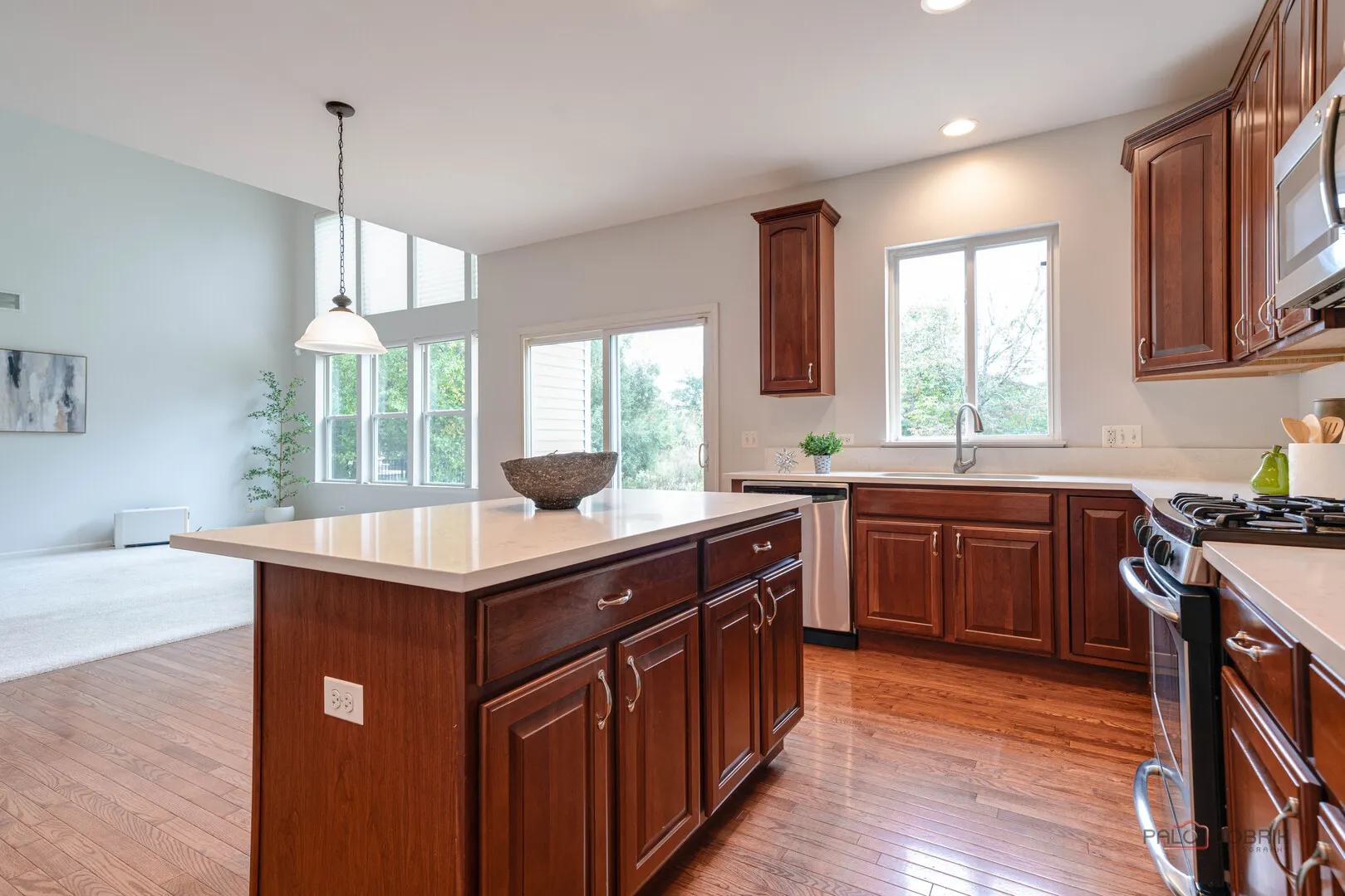 1575 McClellan Drive IL