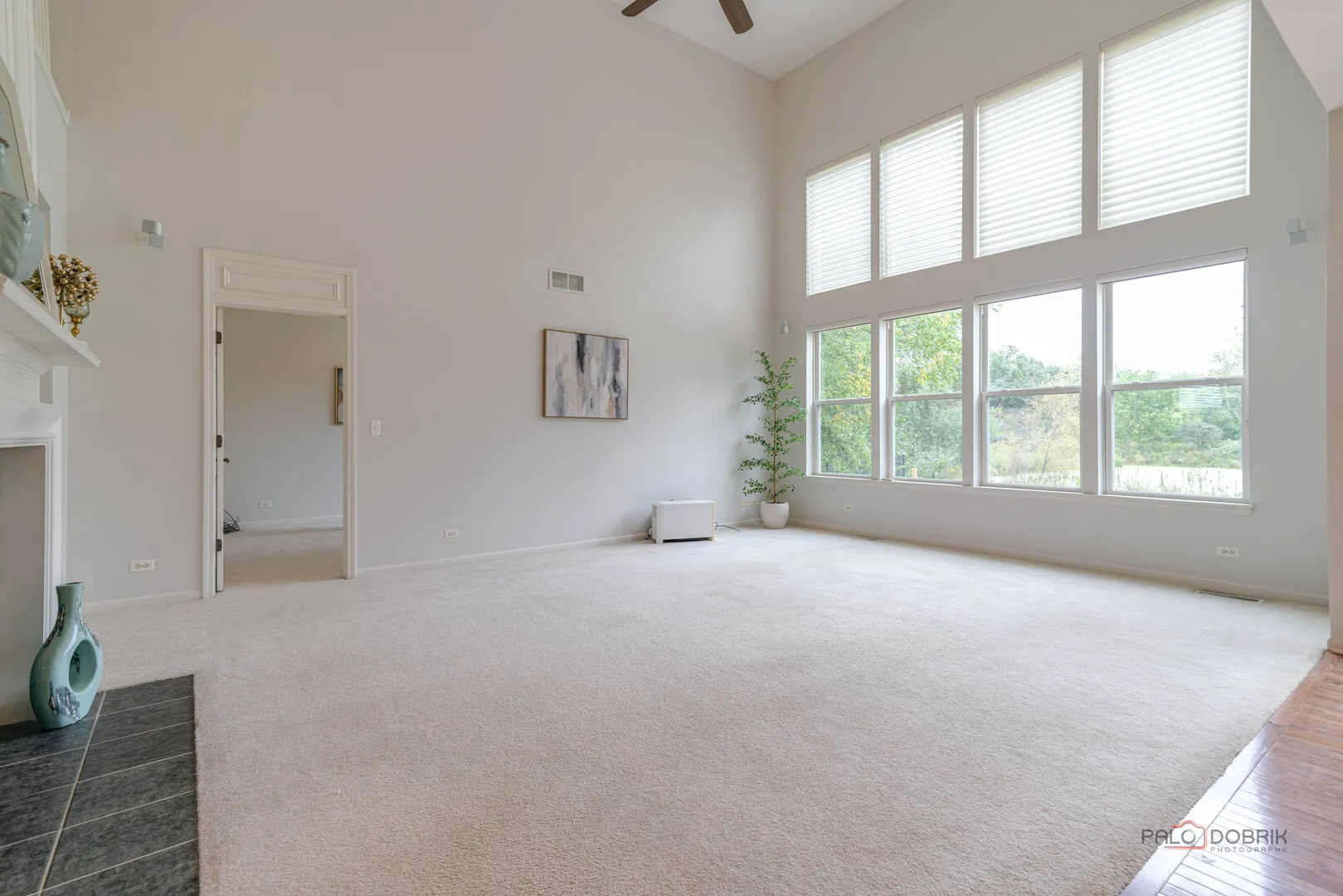 1575 McClellan Drive IL