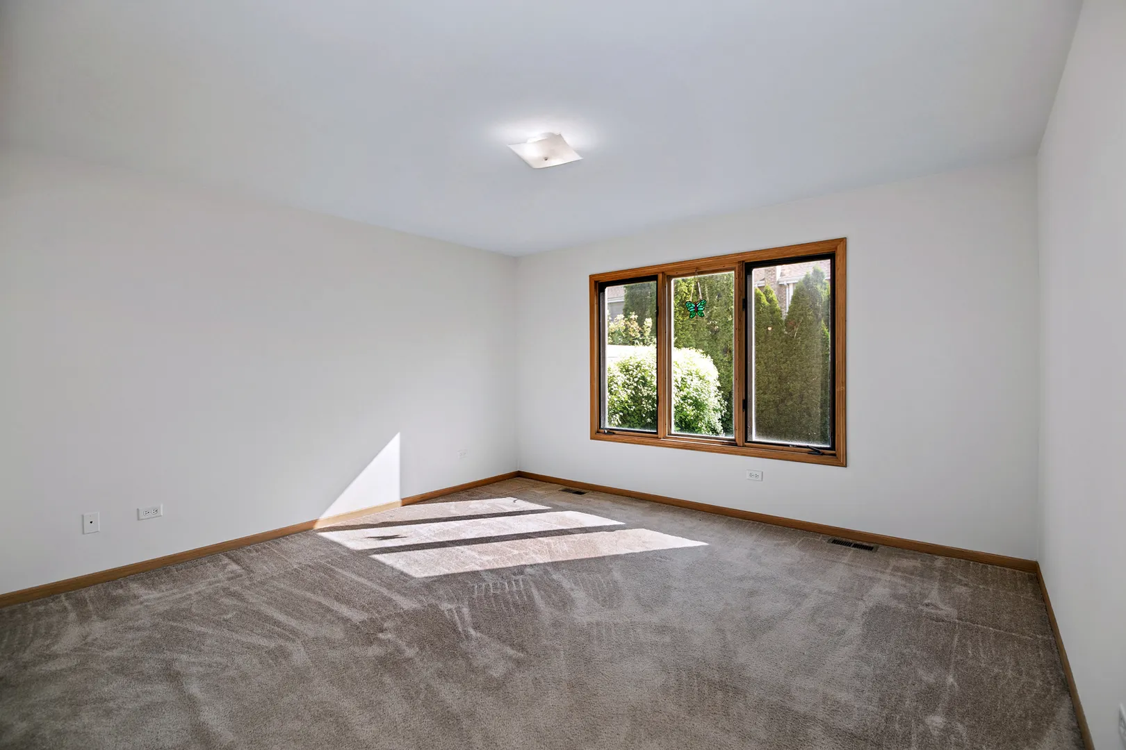 8554 Tullamore Drive IL