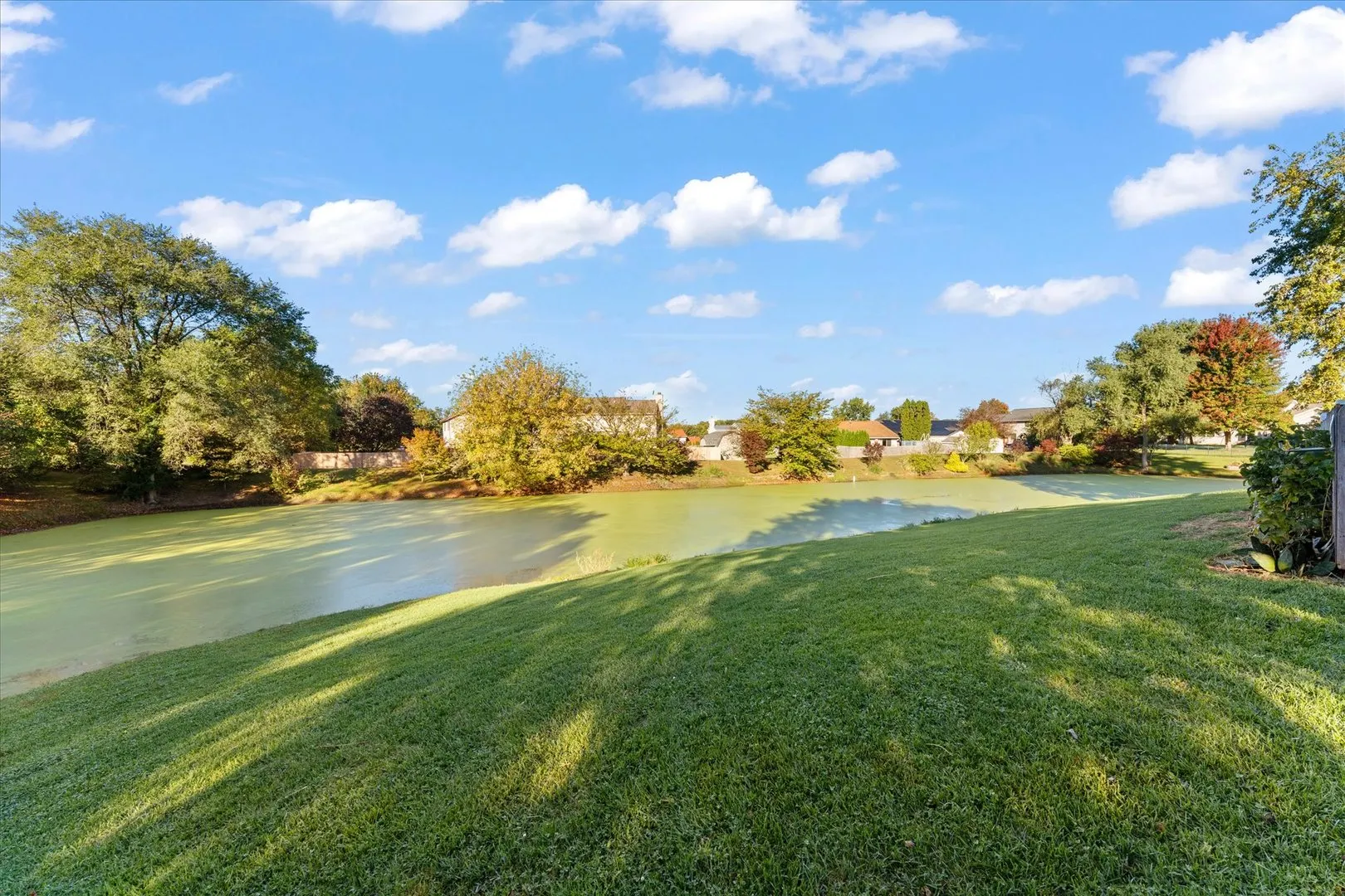 101 Red Bud Court IL