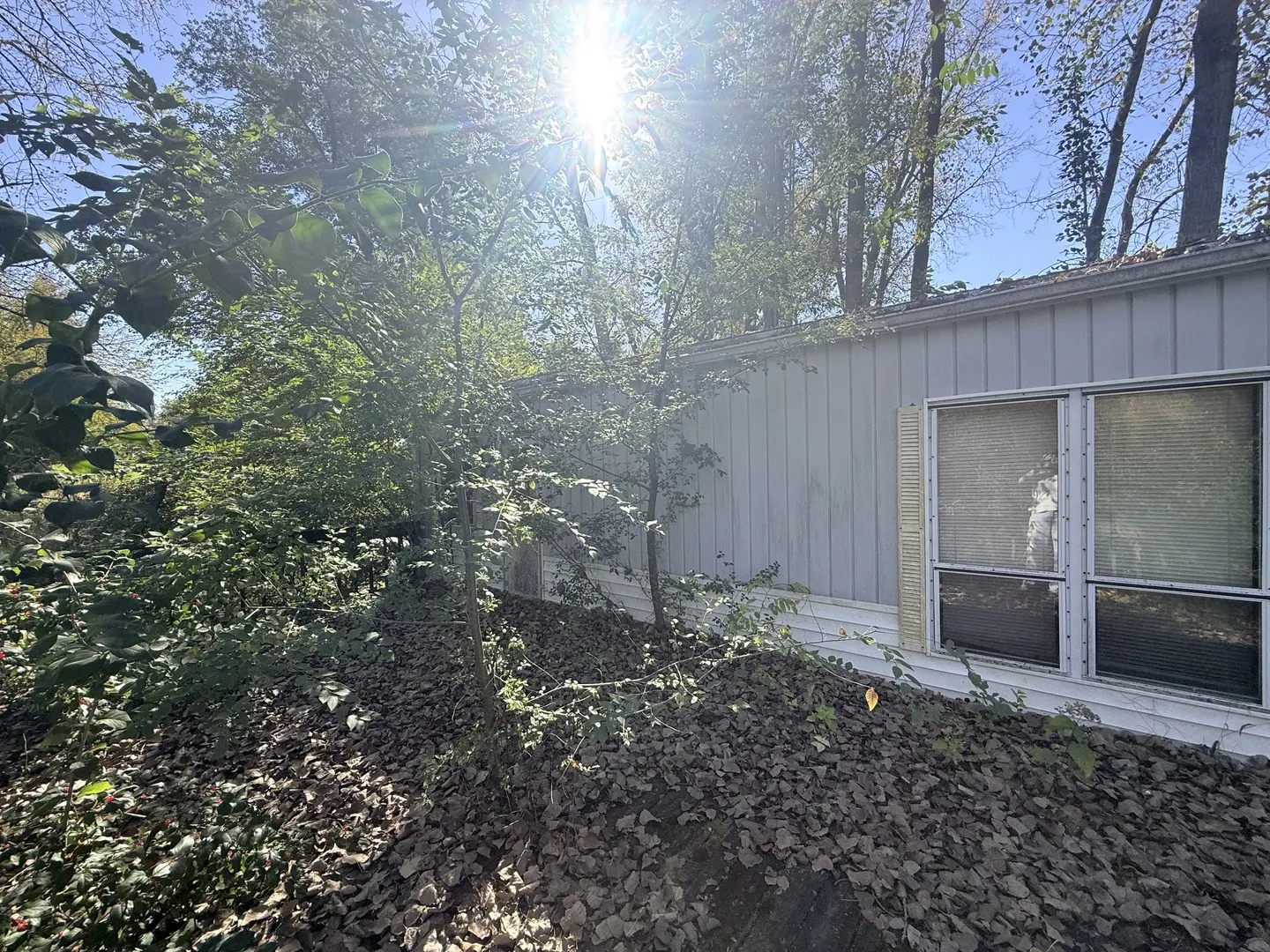 29-198/199 Woodhaven Lakes IL