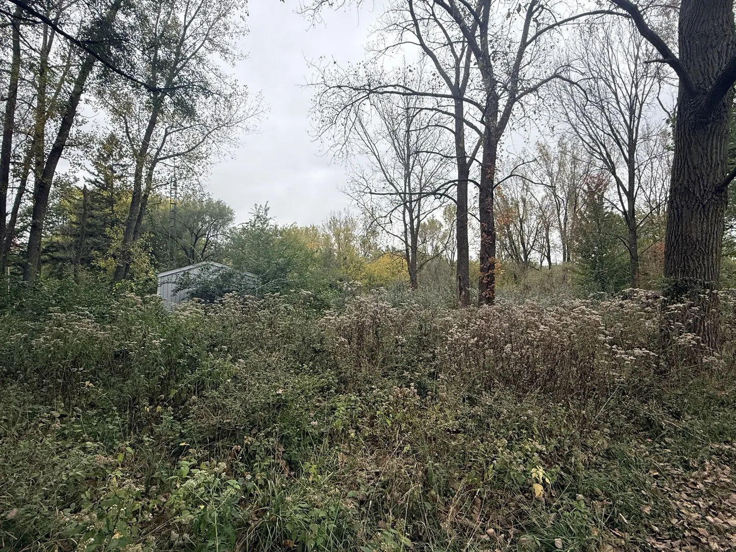 29-198/199 Woodhaven Lakes IL