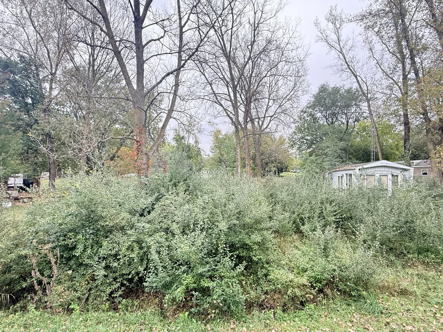 29-198/199 Woodhaven Lakes IL