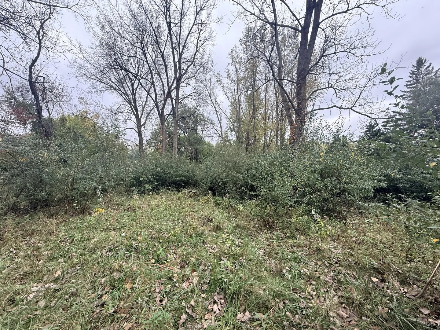 29-198/199 Woodhaven Lakes IL