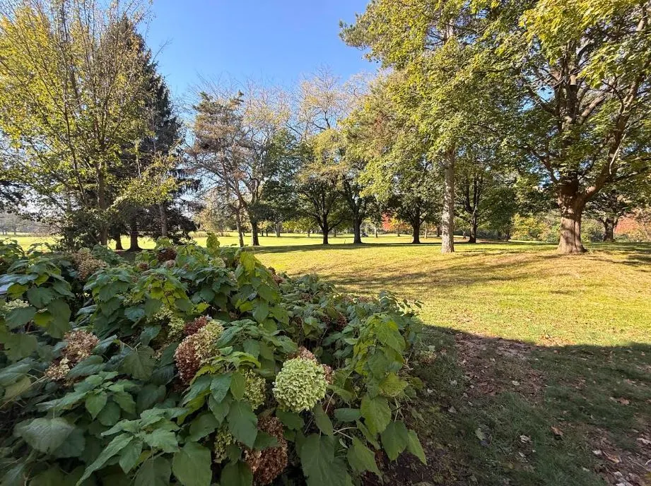 584 Shoreline Road IL