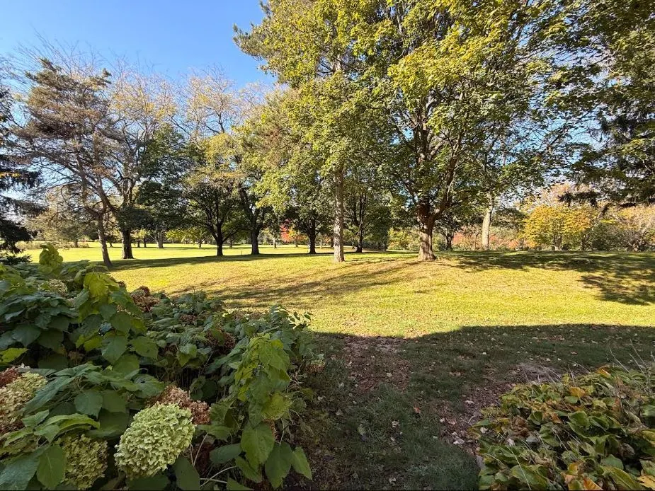 584 Shoreline Road IL