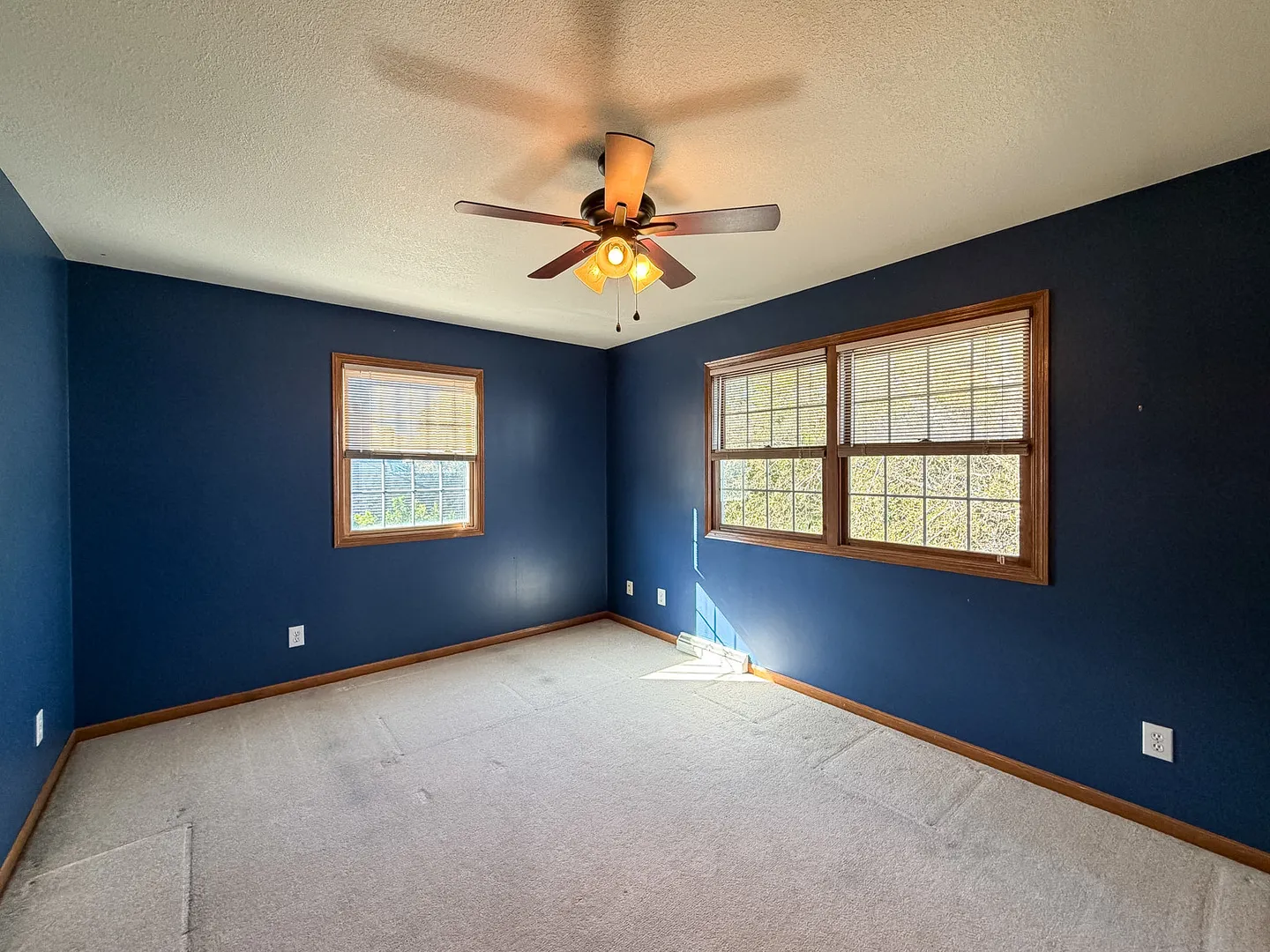505 N Cedar Drive IL