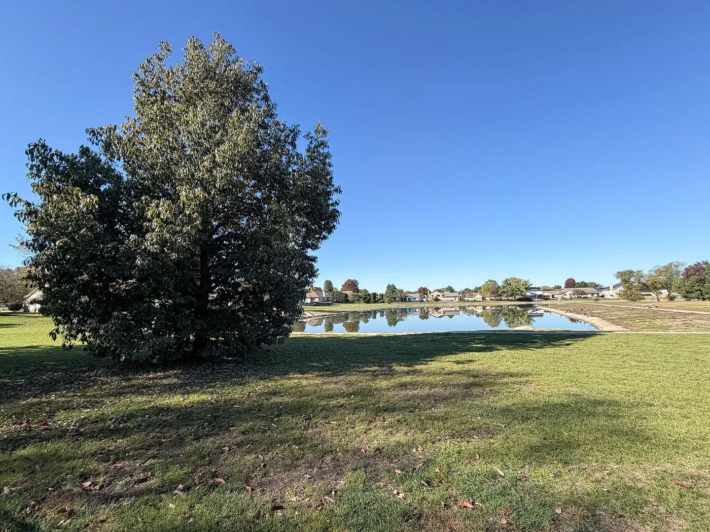 505 N Cedar Drive IL
