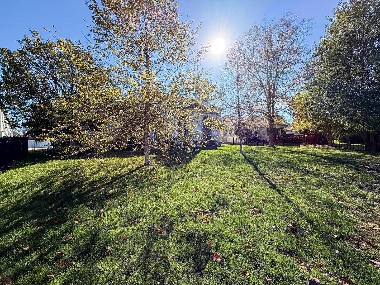 505 N Cedar Drive IL