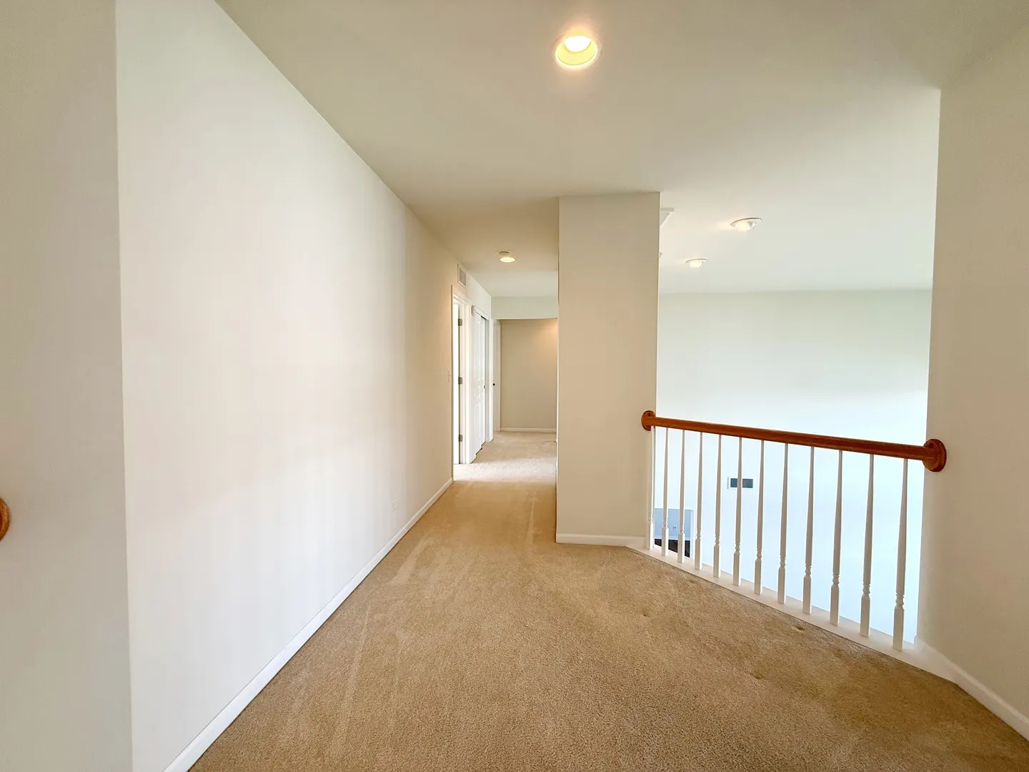 206 Chapin Way IL