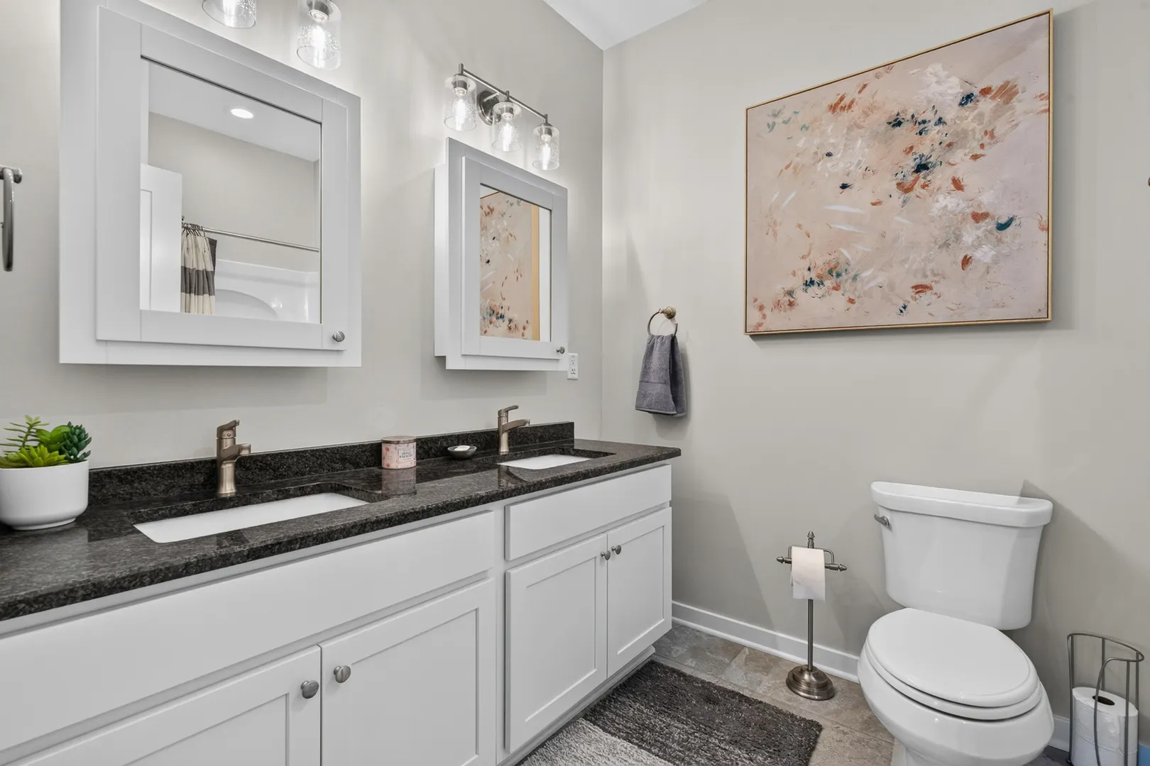 2629 Sanctuary Lane IL
