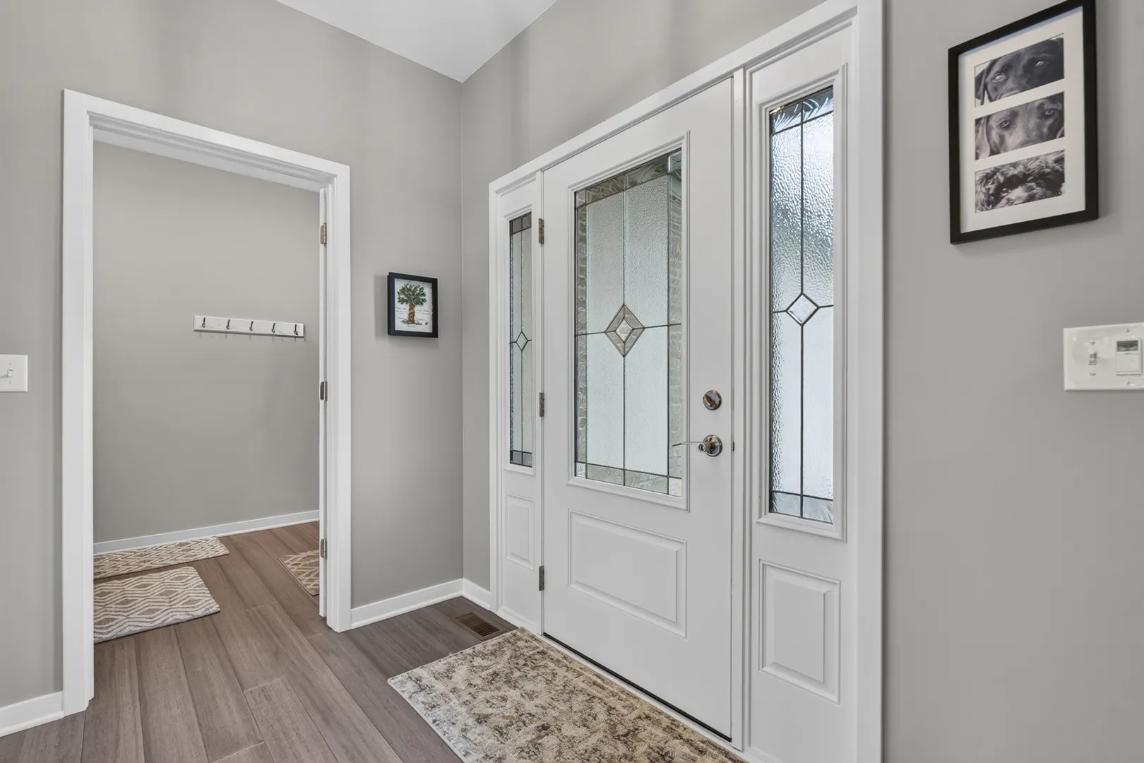 2629 Sanctuary Lane IL