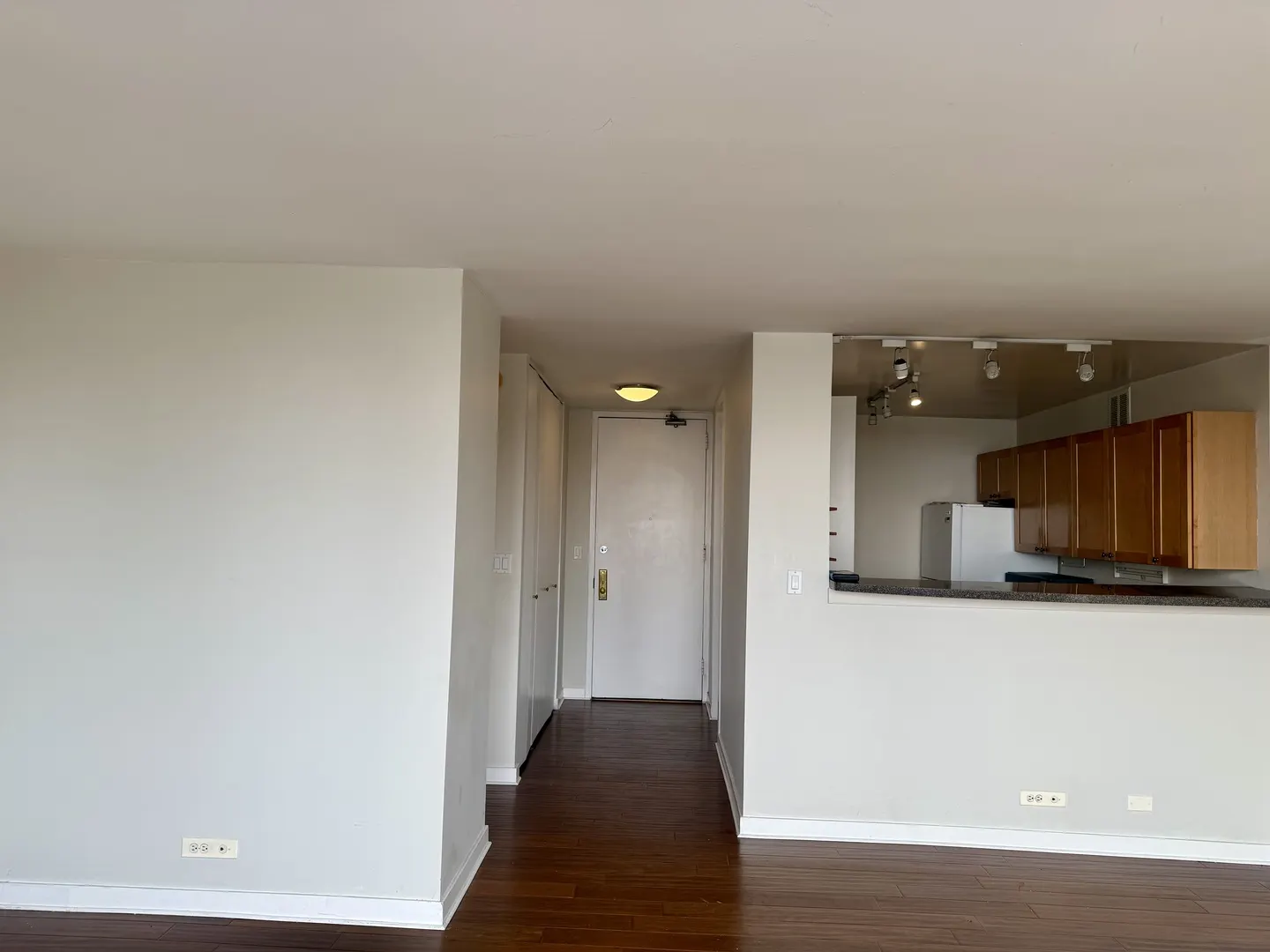655 W Irving Park Road IL #1509