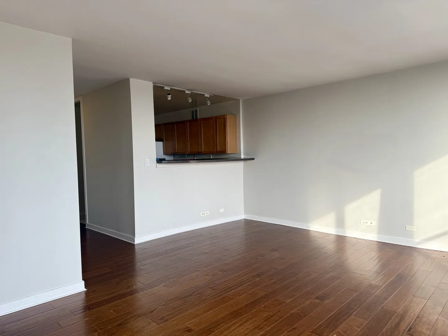 655 W Irving Park Road IL #1509