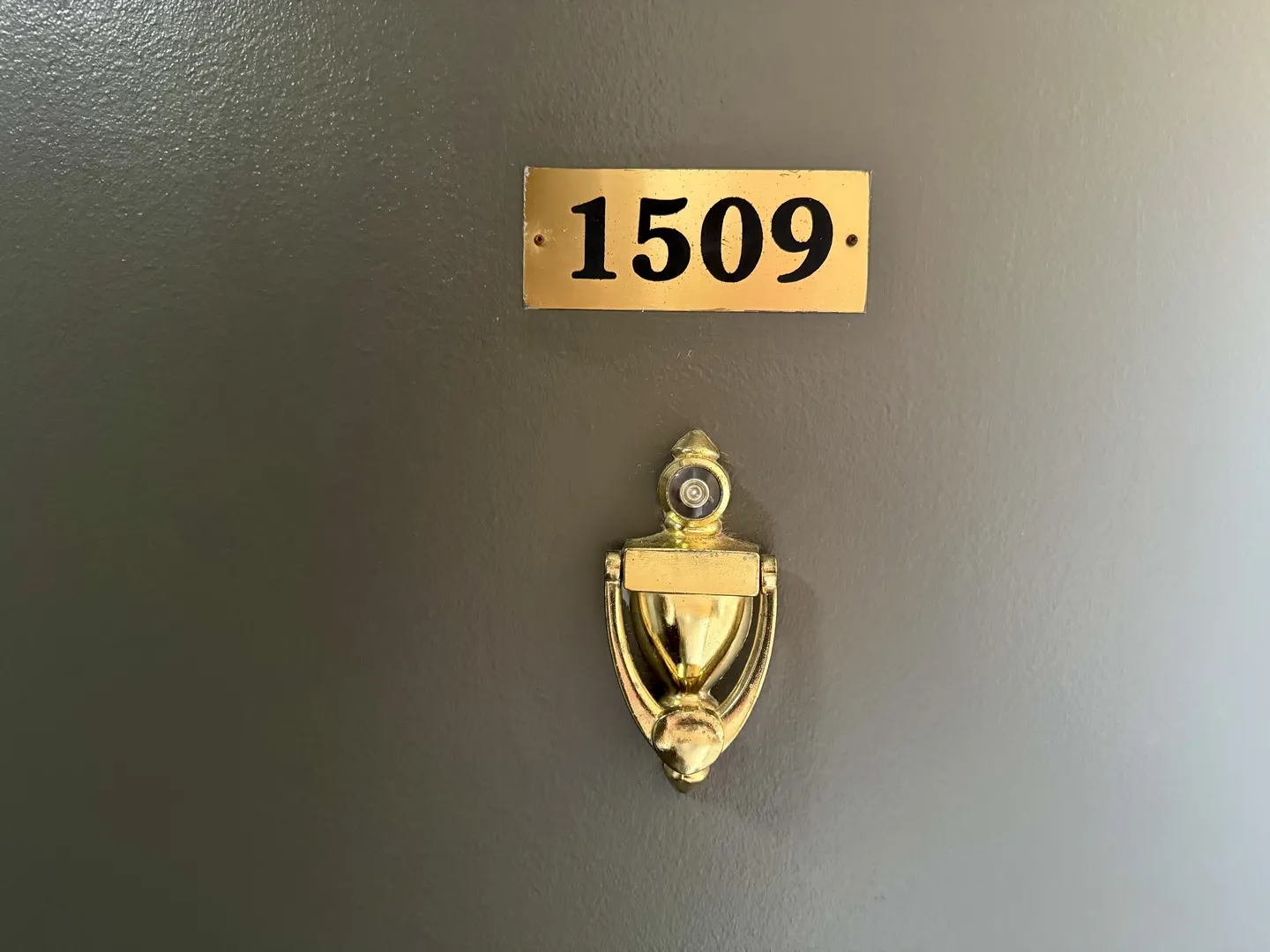 655 W Irving Park Road IL #1509