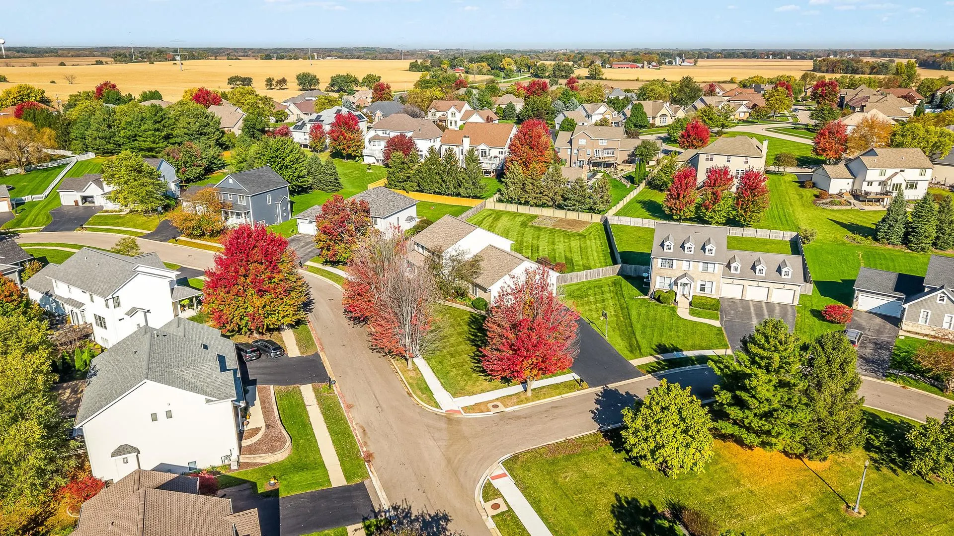 12303 Callanish Lane IL