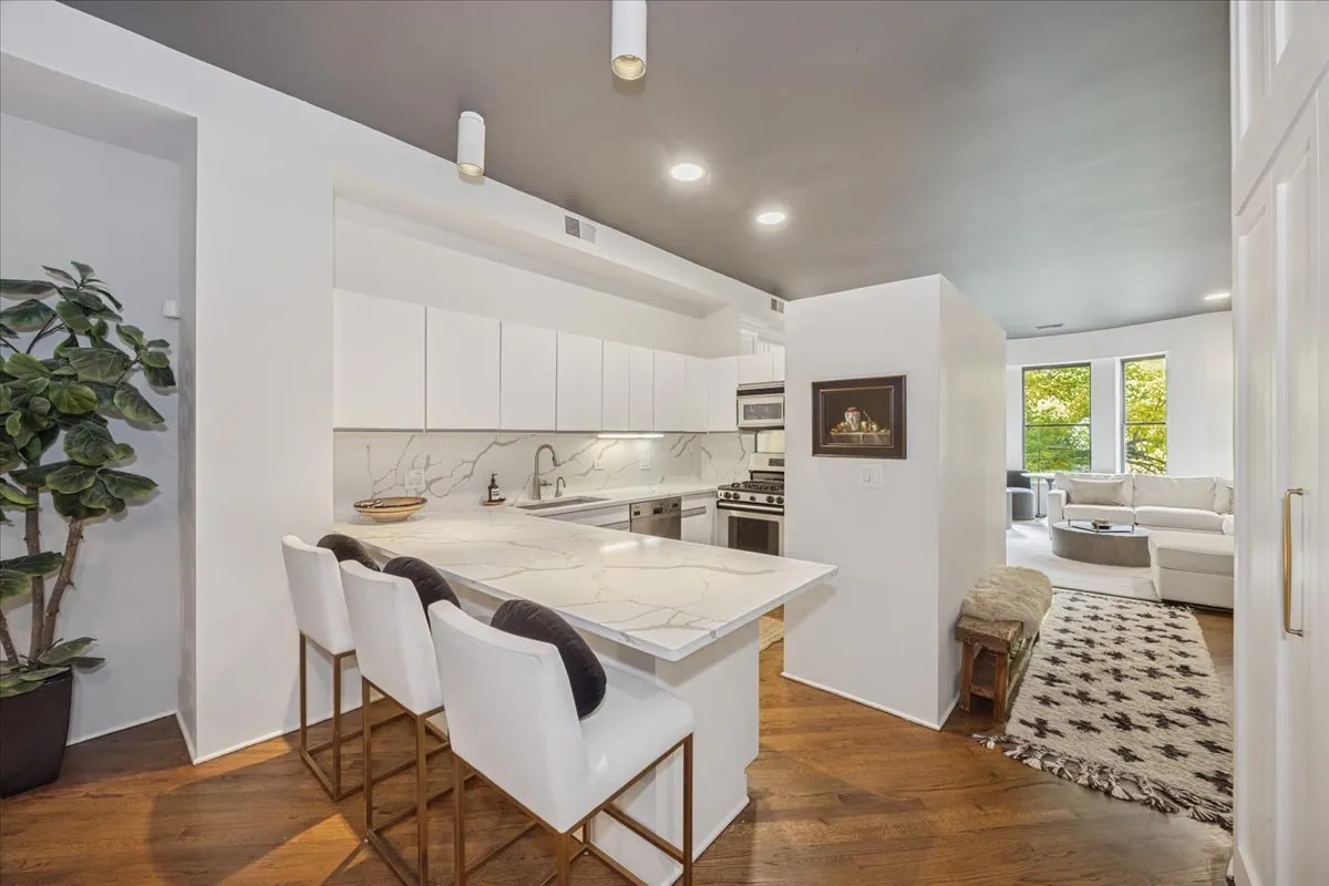 78 E Elm Street IL #3