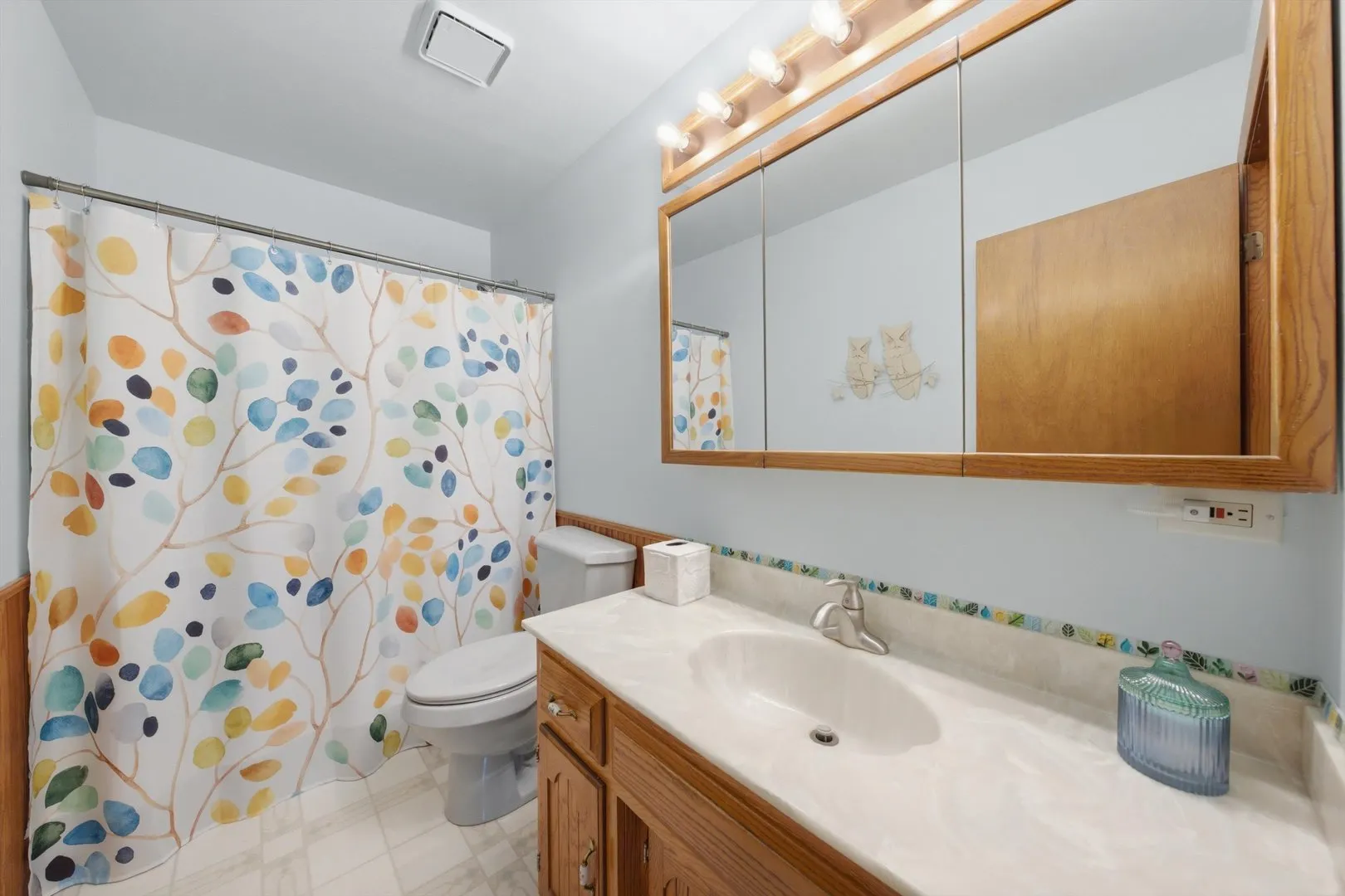 24208 W Frances Court IL