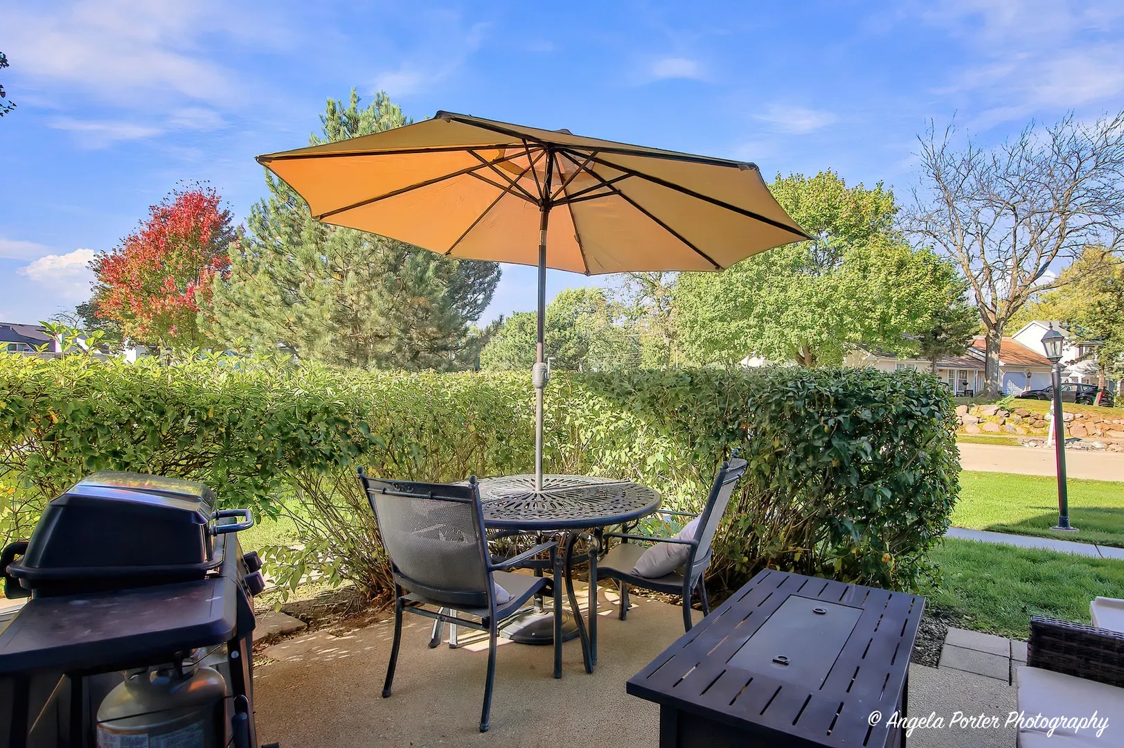 621 Chip Court IL