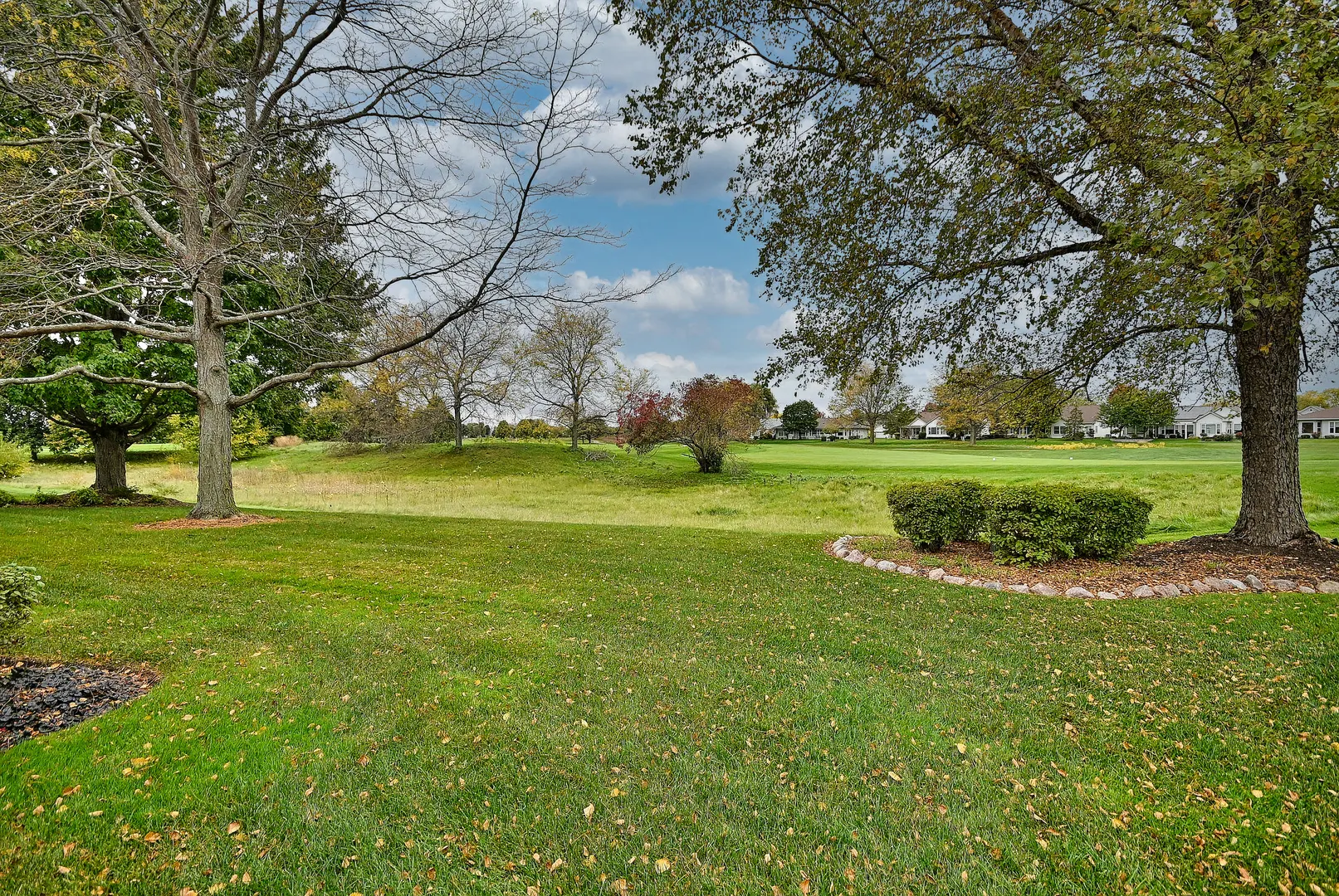 12411 COLD SPRINGS Drive IL