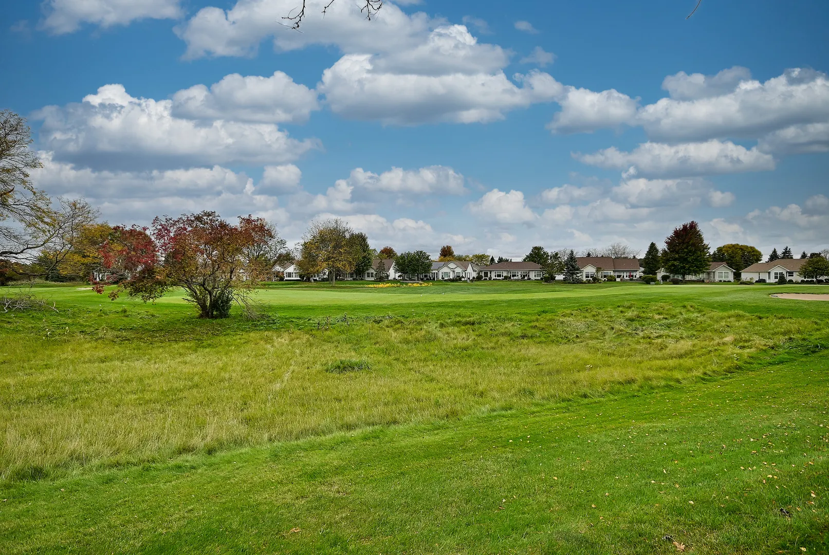 12411 COLD SPRINGS Drive IL
