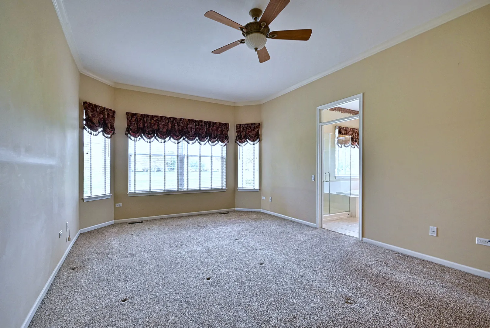 12411 COLD SPRINGS Drive IL