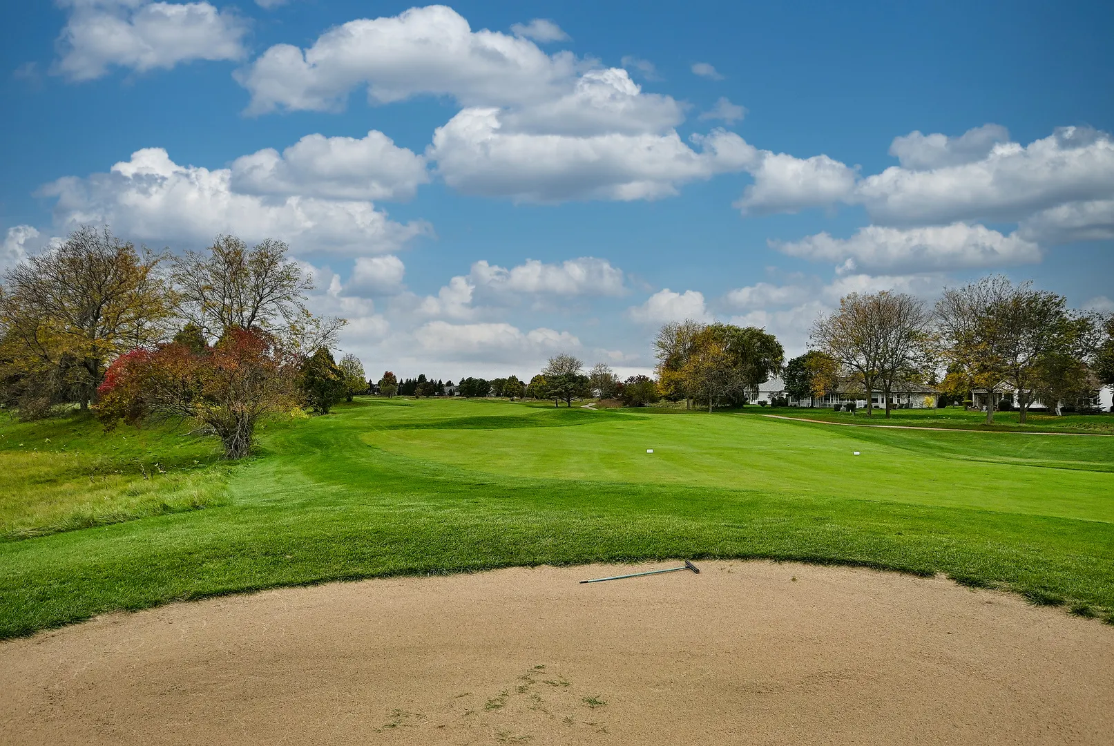 12411 COLD SPRINGS Drive IL
