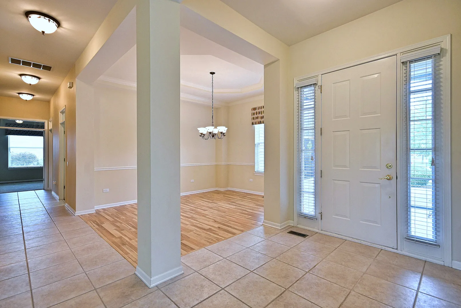 12411 COLD SPRINGS Drive IL