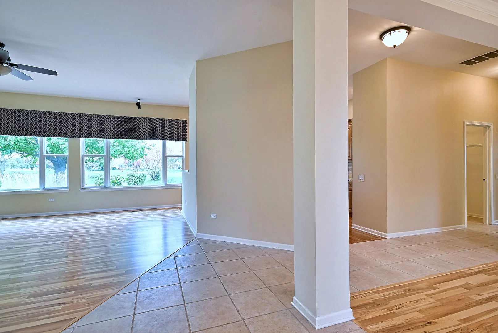 12411 COLD SPRINGS Drive IL