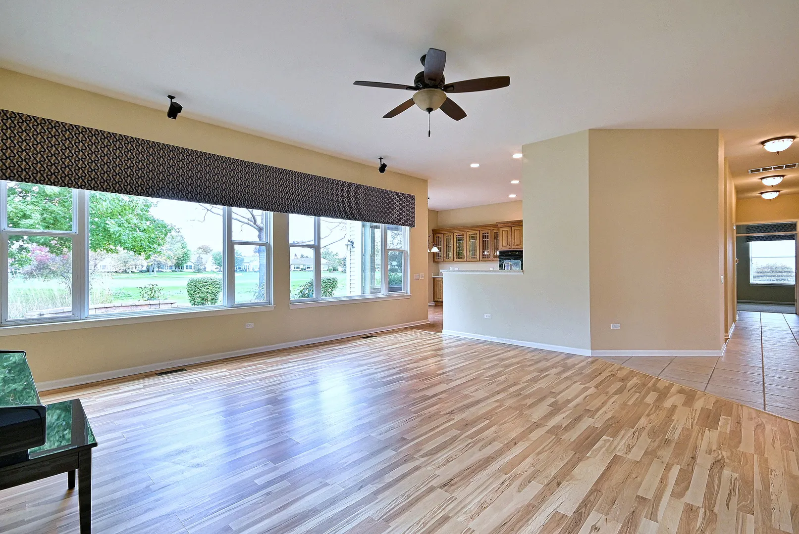 12411 COLD SPRINGS Drive IL