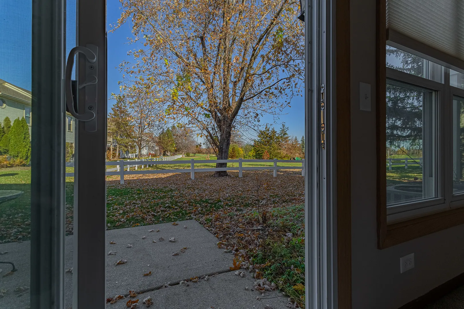 279 University Lane IL