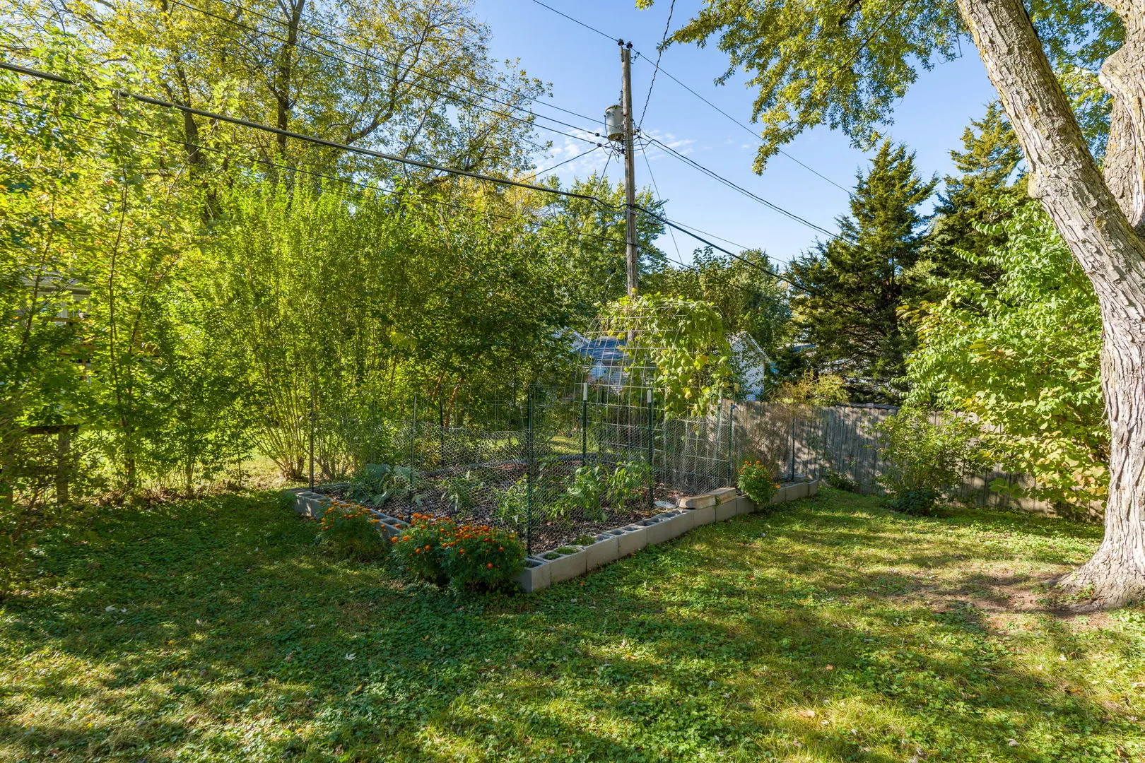 4211 WITTMAN Drive IA