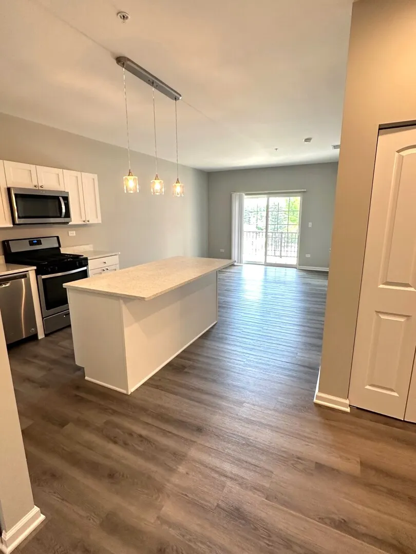 301 N Madison Street IL #3E