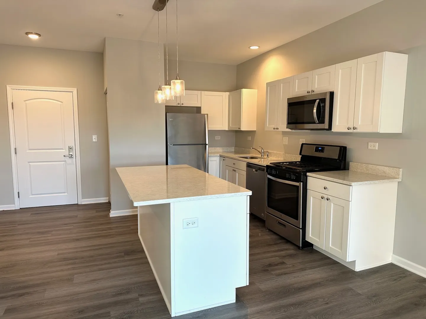 301 N Madison Street IL #3E