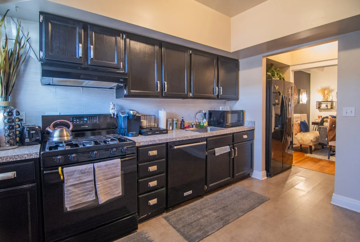 844 W Lakeside Place IL